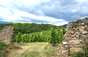 Niero Estate