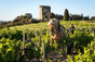 Domaine de Beaurenard