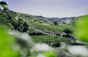 Domaine Laurent Fayolle