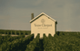 Veuve Clicquot Champagne