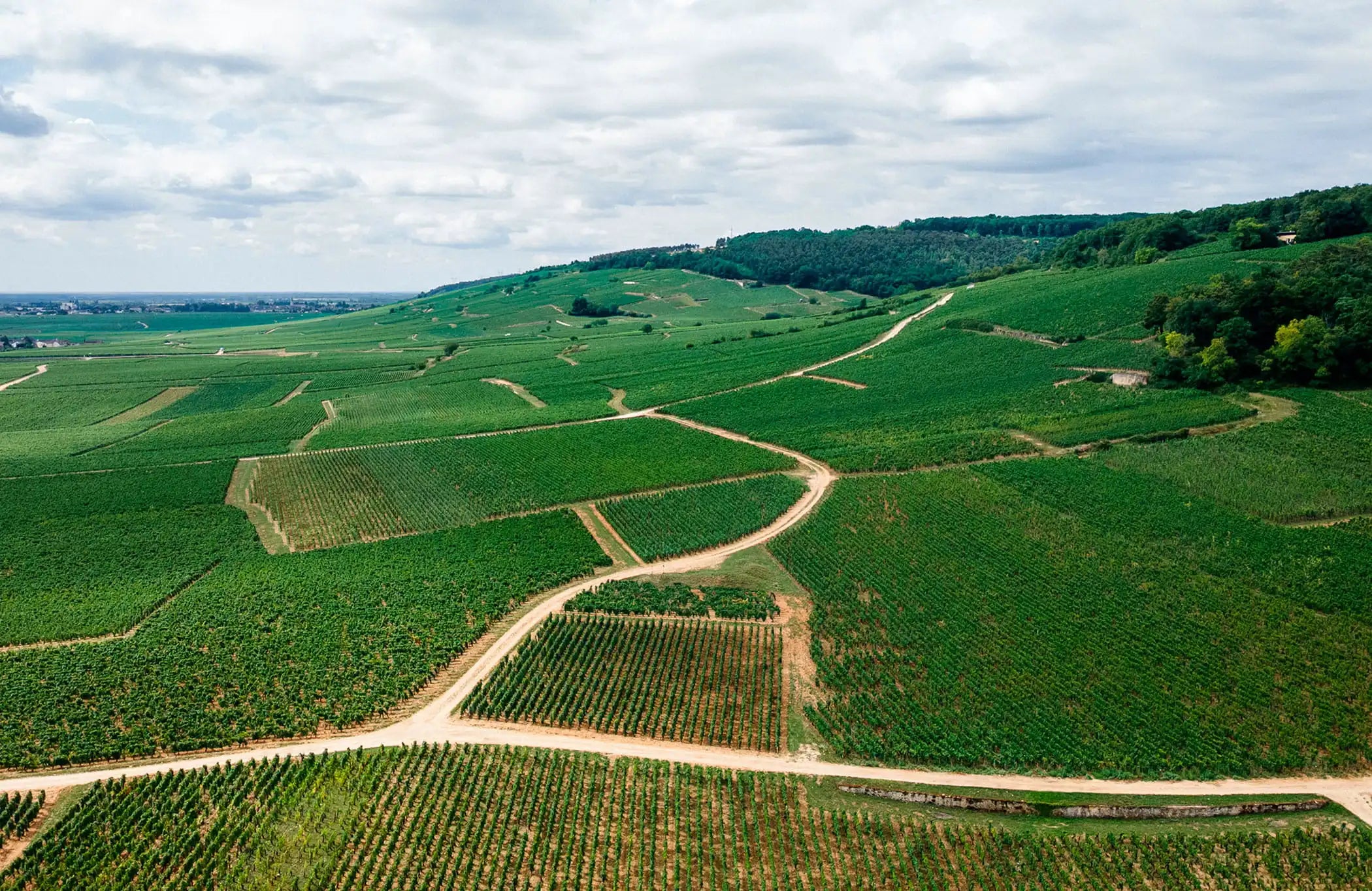 Domaine Mongeard-Mugneret