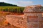 Domaine Comte de Vogüé