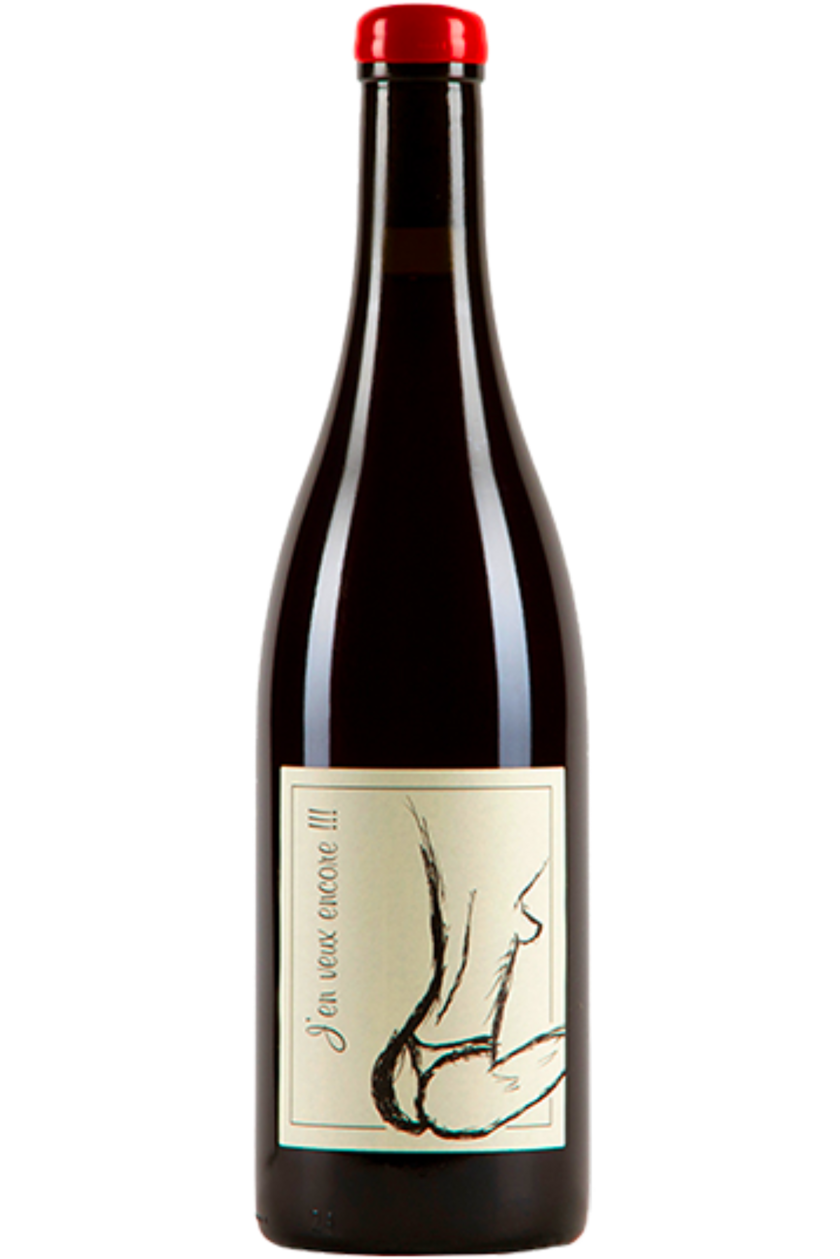 Domaine Anne et Jean-François Ganevat - Vin de France J'en veux encore 2023