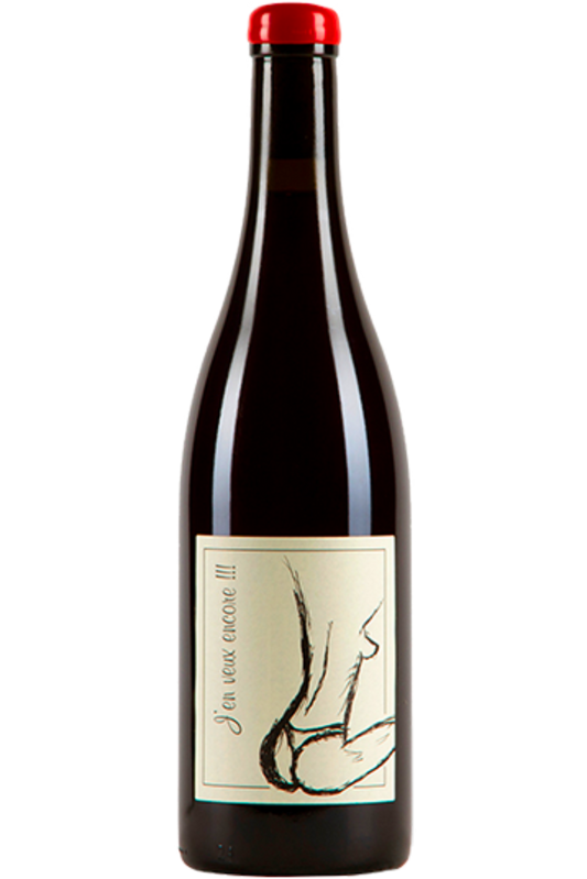 Domaine Anne et Jean-François Ganevat - Vin de France J'en veux encore 2023