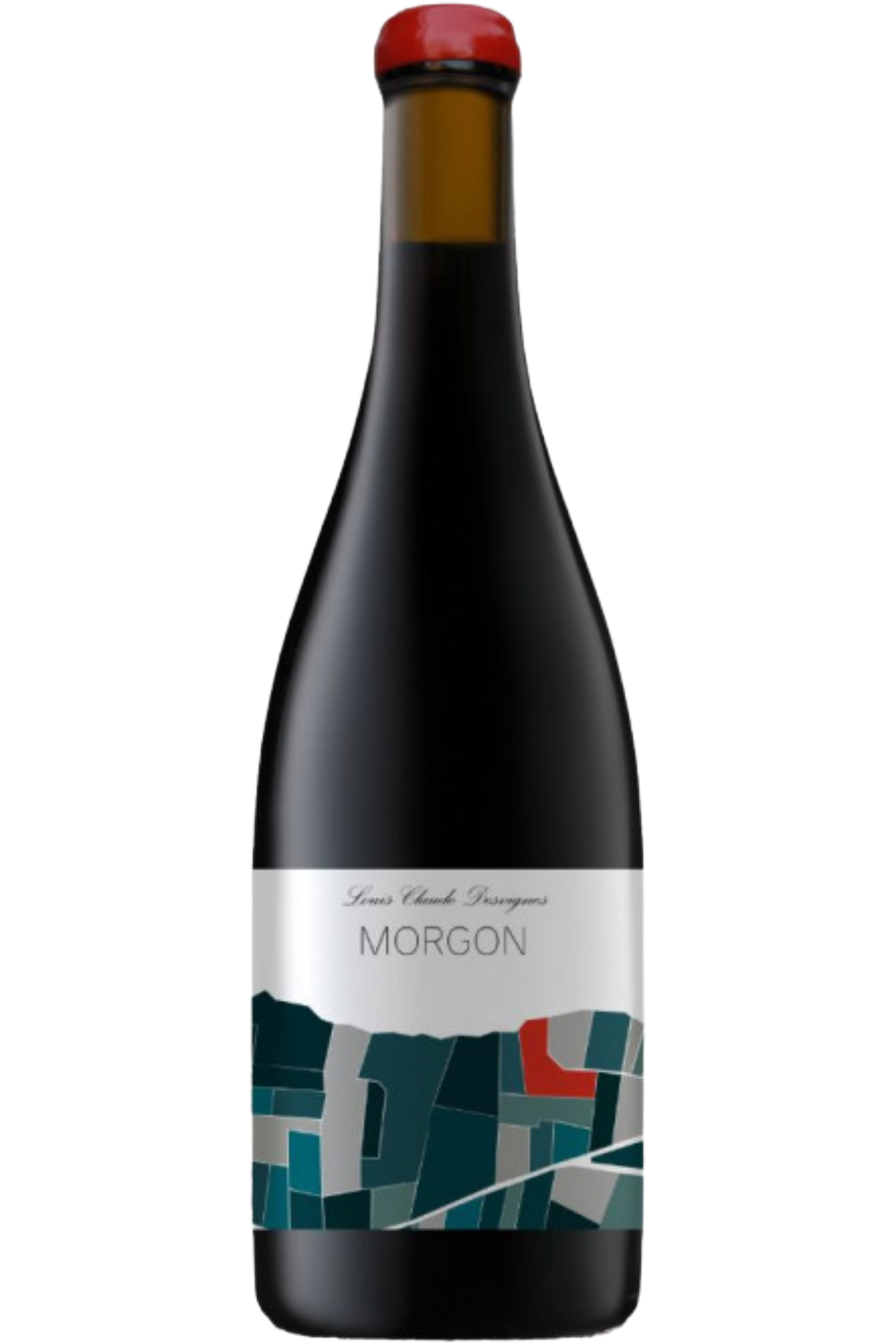 Domaine Louis Claude Desvignes - Morgon Montpelain 2022