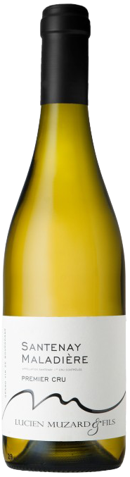 Lucien Muzard & Fils - Santenay Premier Cru La Maladiere Blanc - 2024