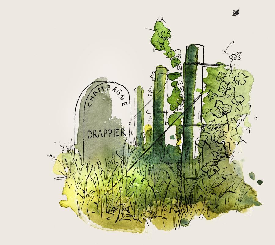 die Geschichte der Champagner-Drapier