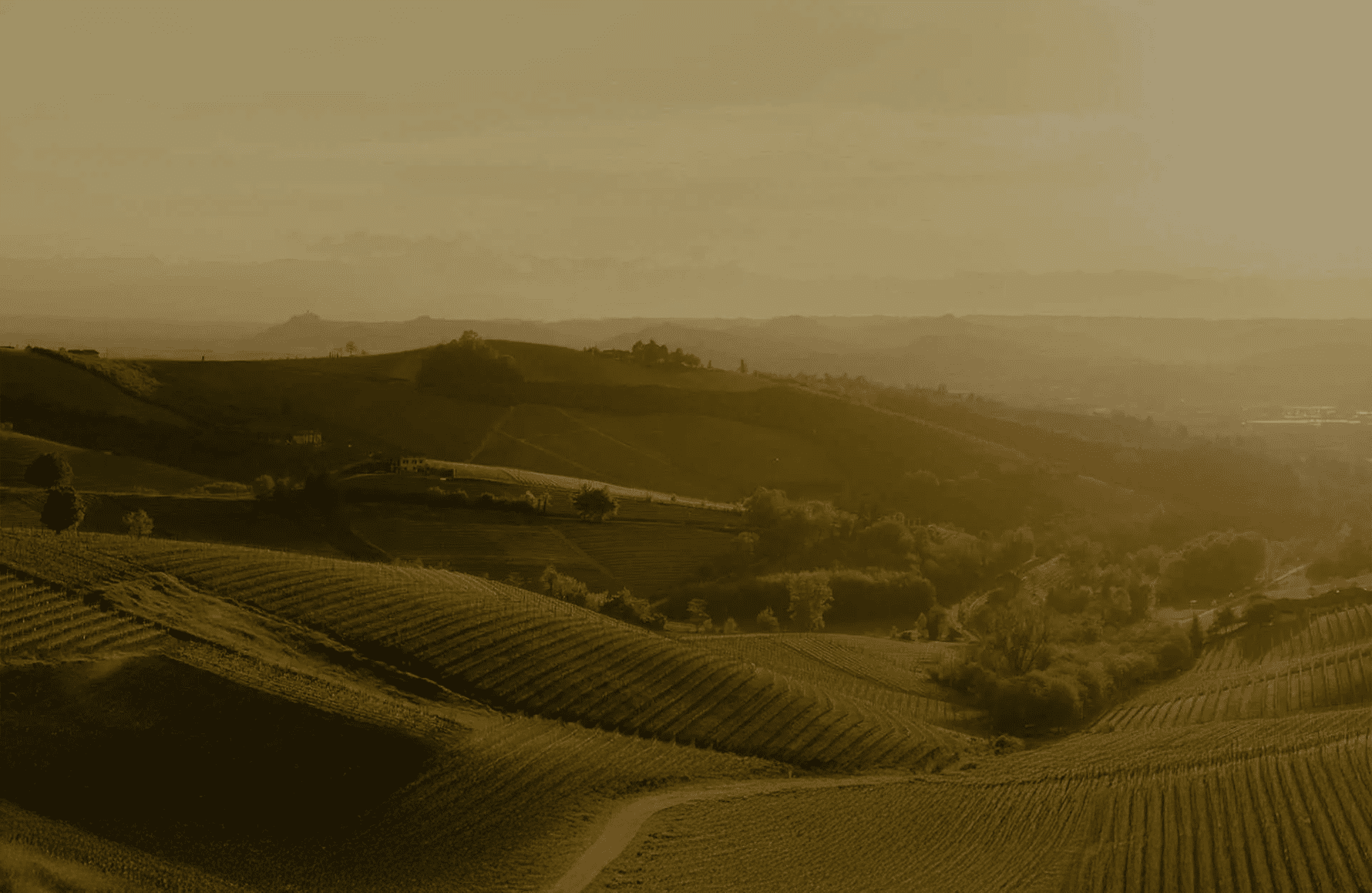 the story of Cascina delle Rose - Italy