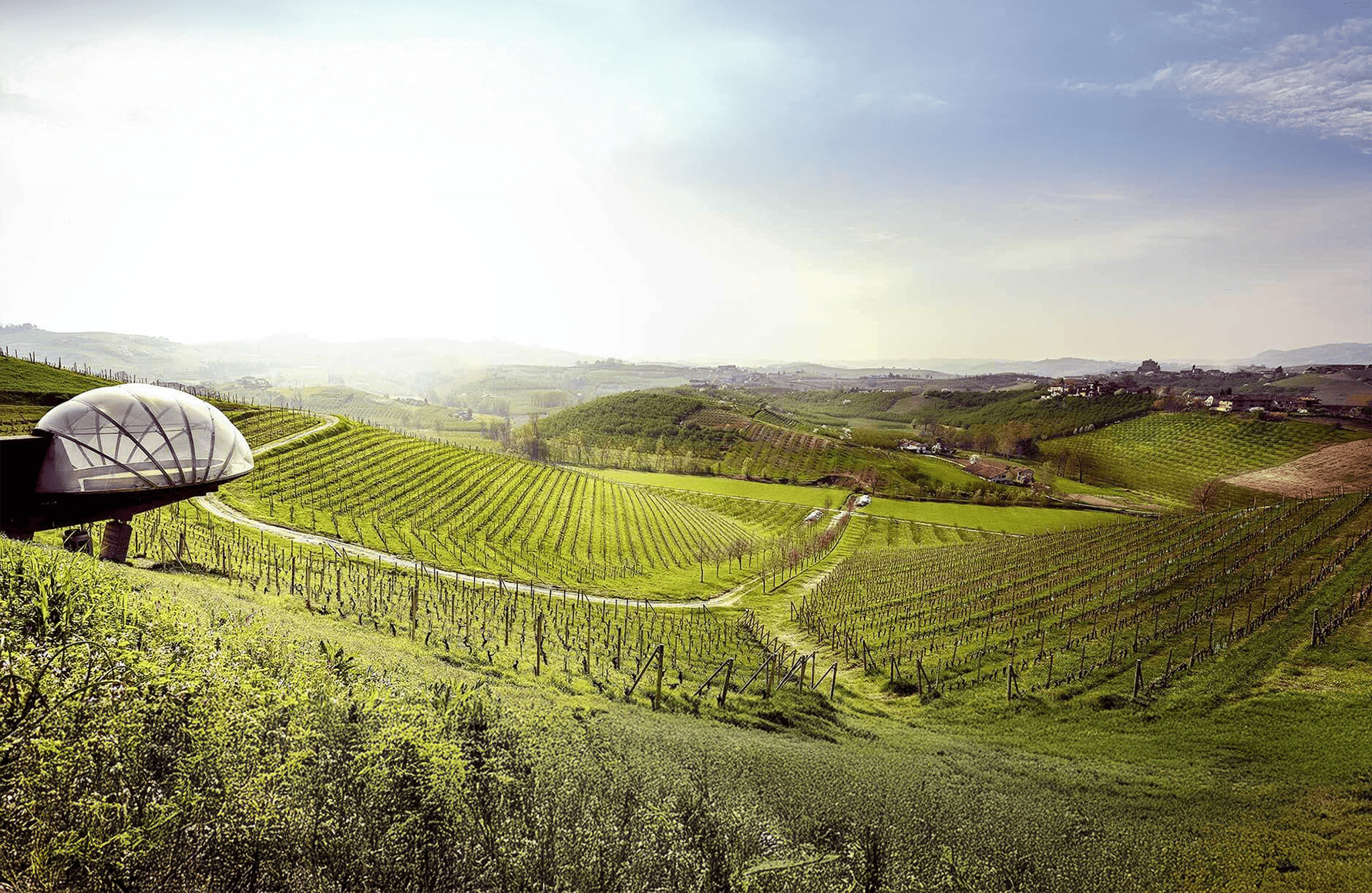 the story of Ceretto - Italy