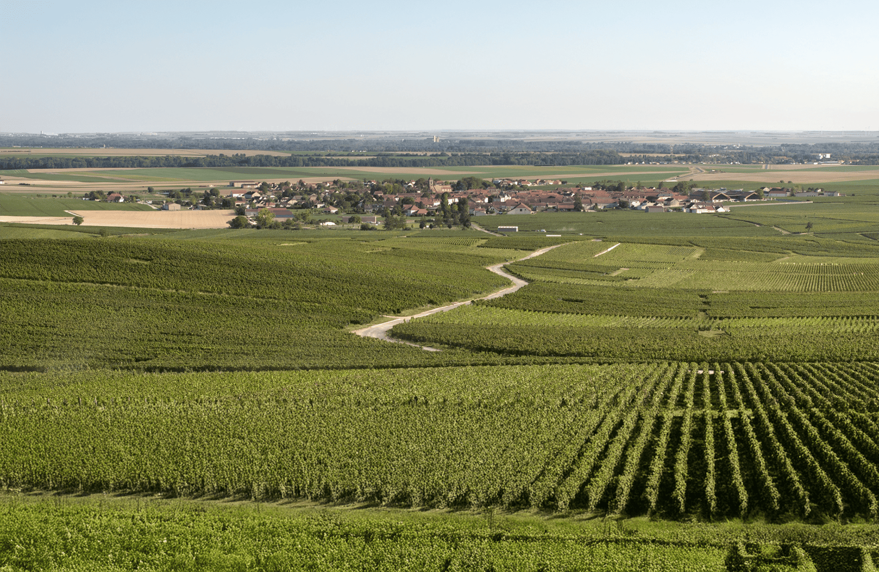 die Geschichte der Champagner Charles Heidsieck