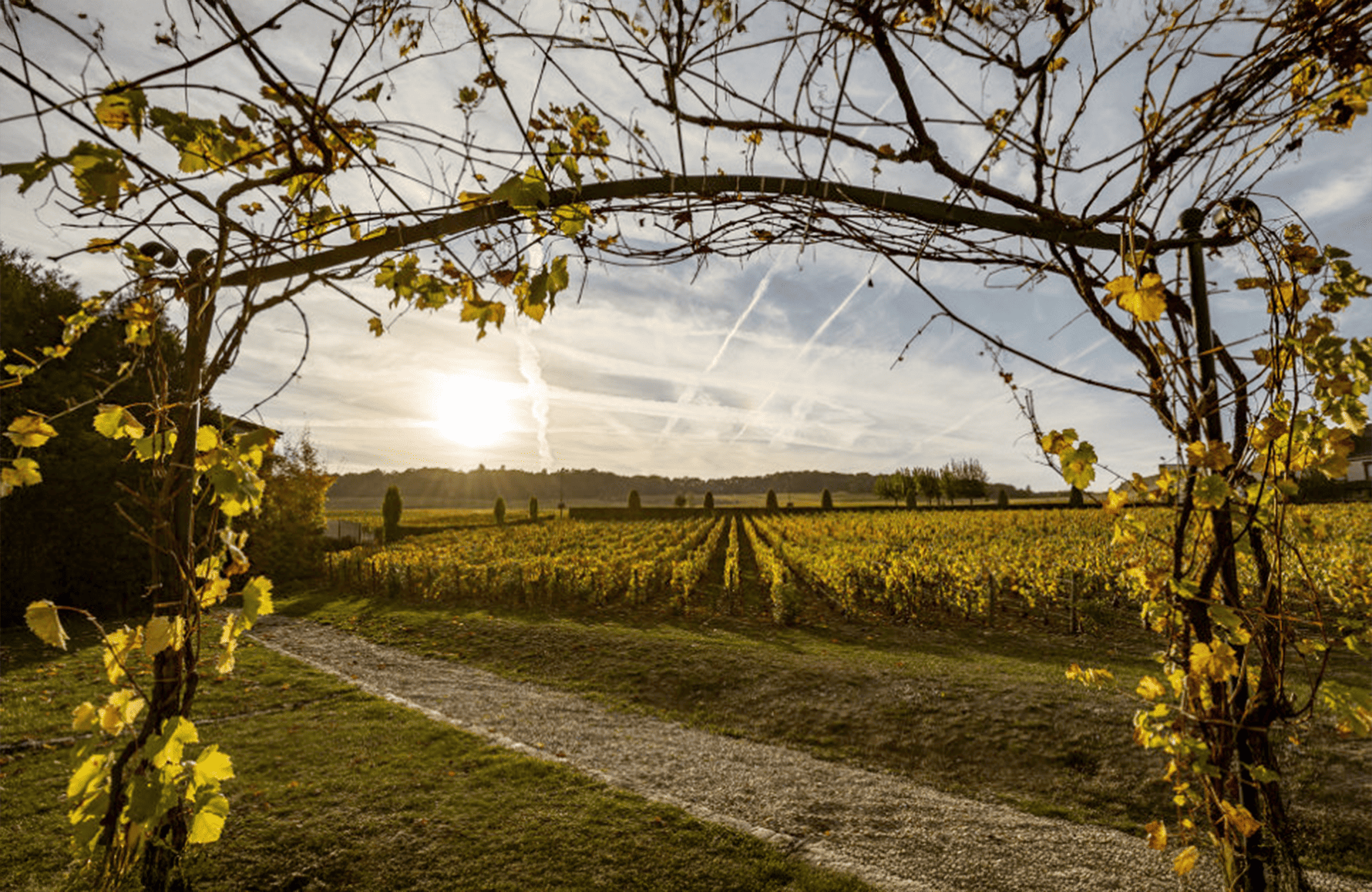 the story of Champagner-Salon