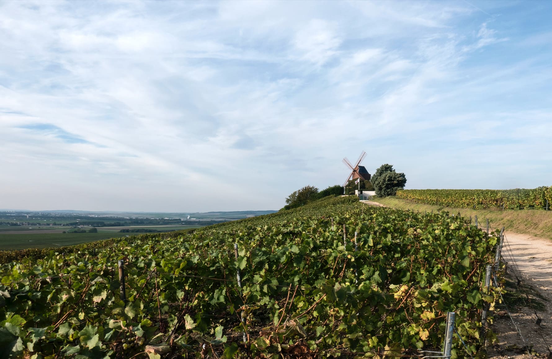 die Geschichte der Champagne Françoise Bedel