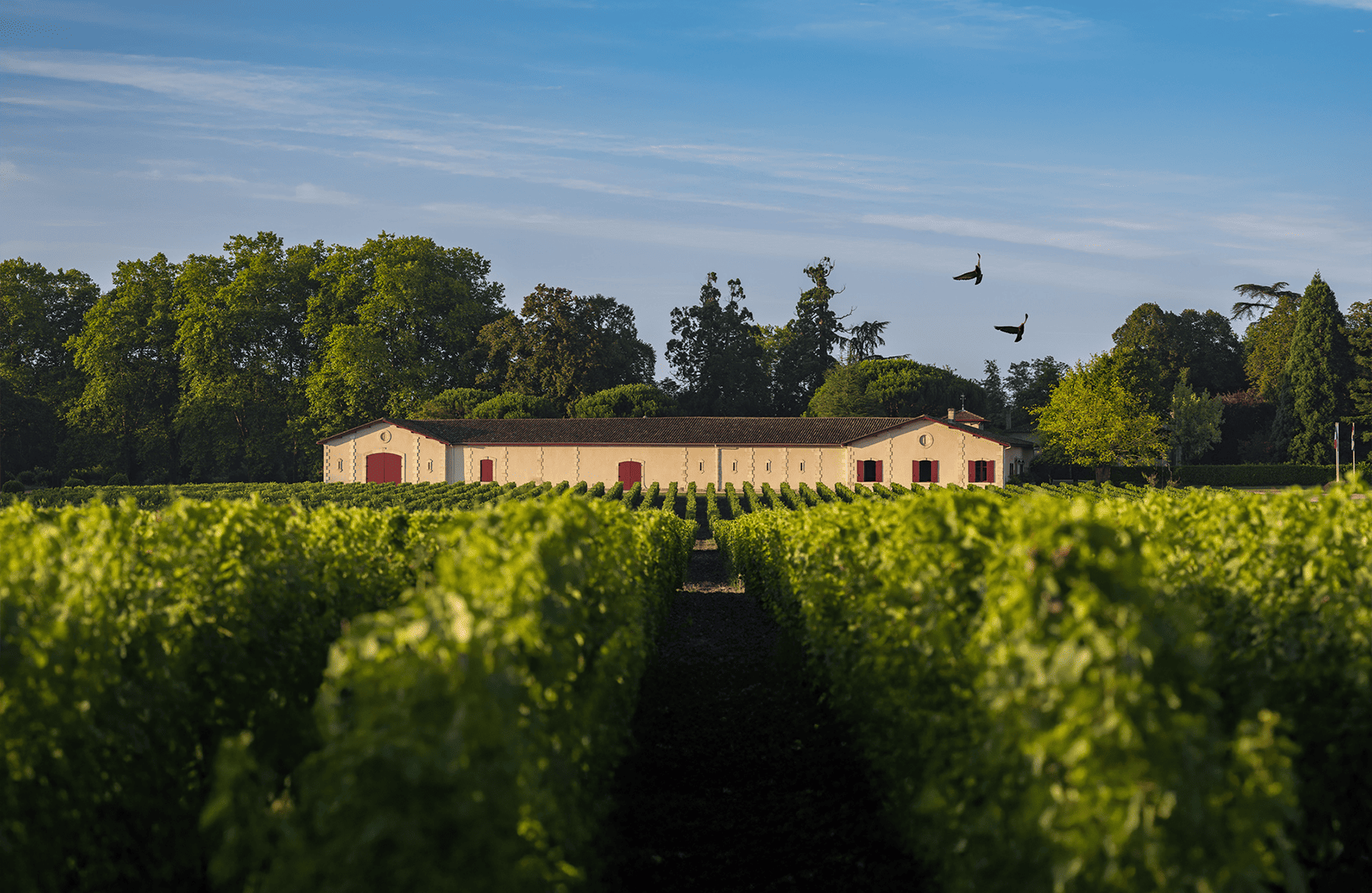 the story of Château Brown