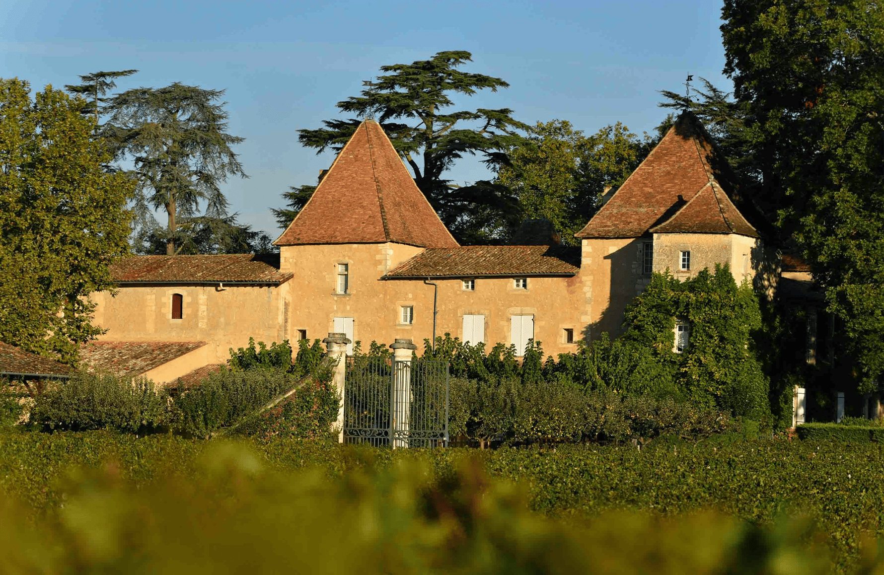 l’histoire du Château Carbonnieux