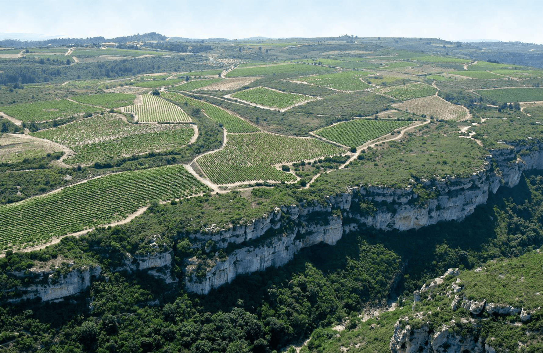 the story of Rose-Cutting Castle
