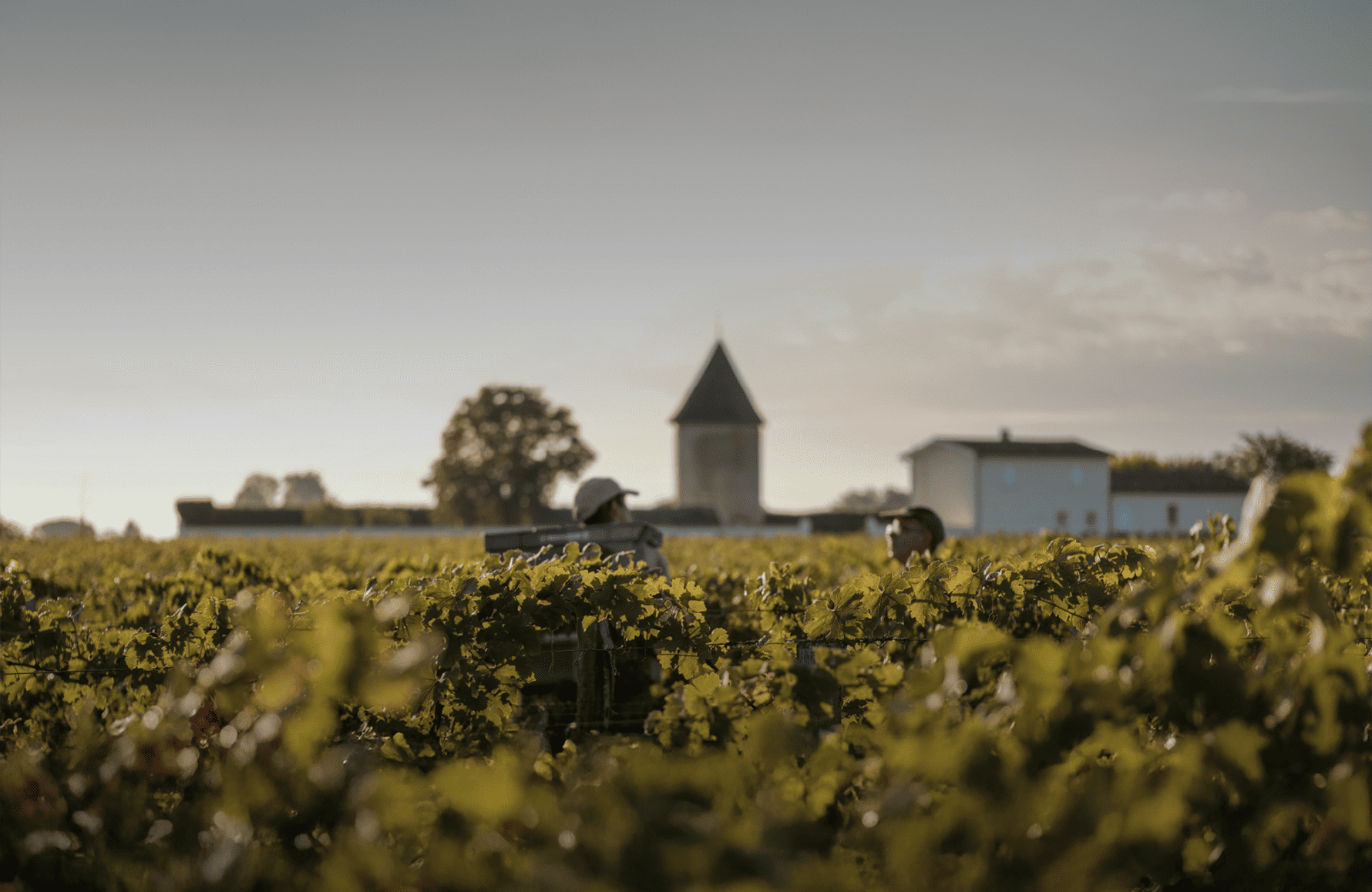 the story of Schloss La Lagune