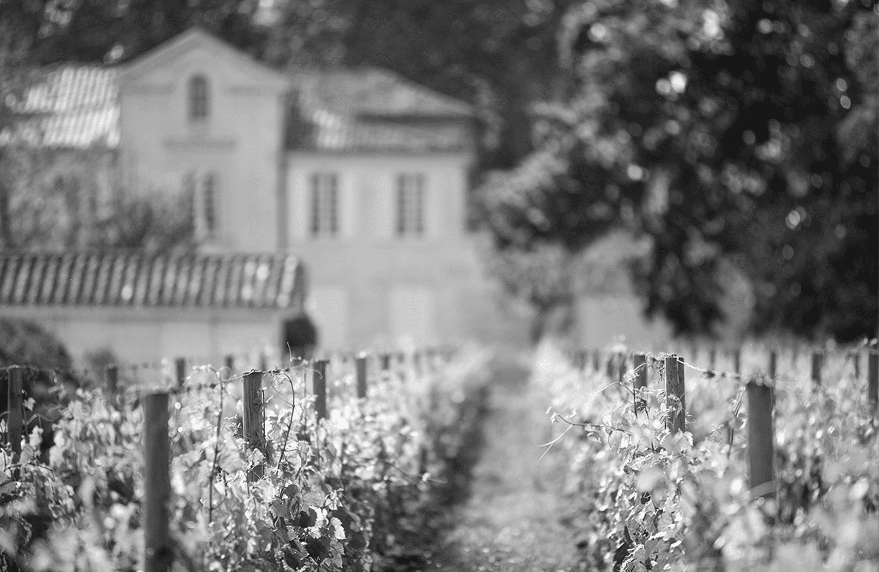 the story of Schloss La Pointe