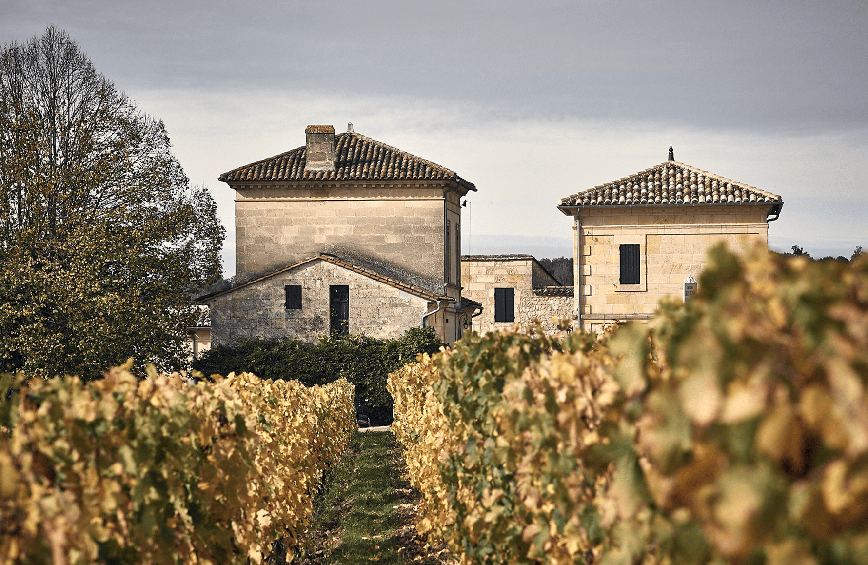 the story of Château Larcis Ducasse