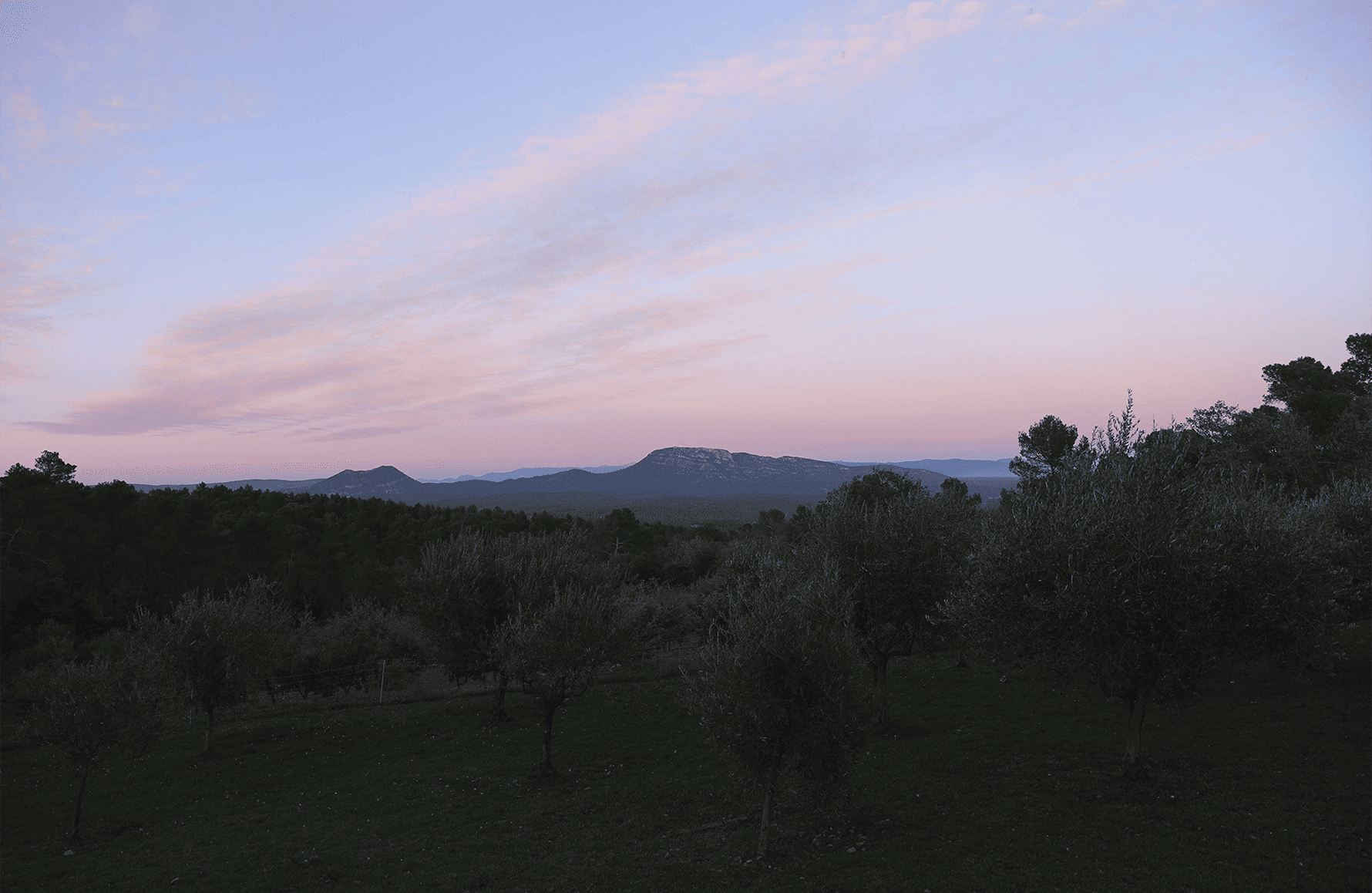 the story of Miraval Castle