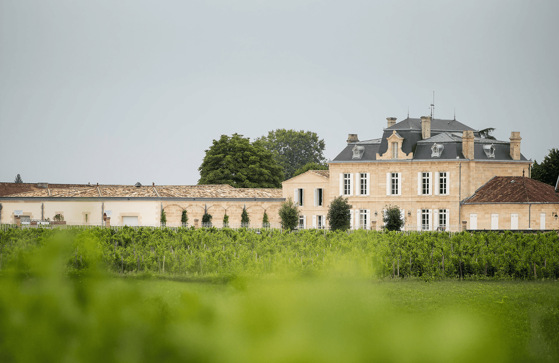die Geschichte der Schloss Nénin