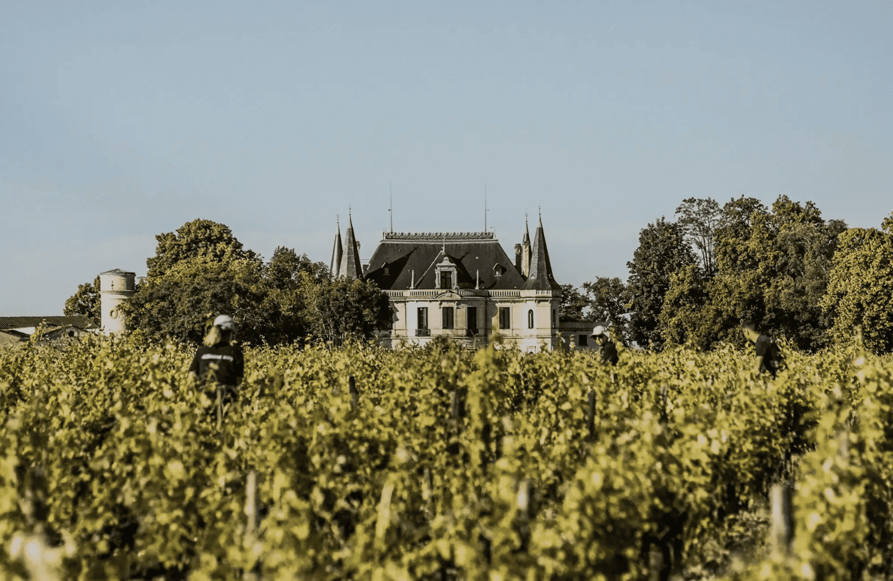l’histoire du Château Palmer