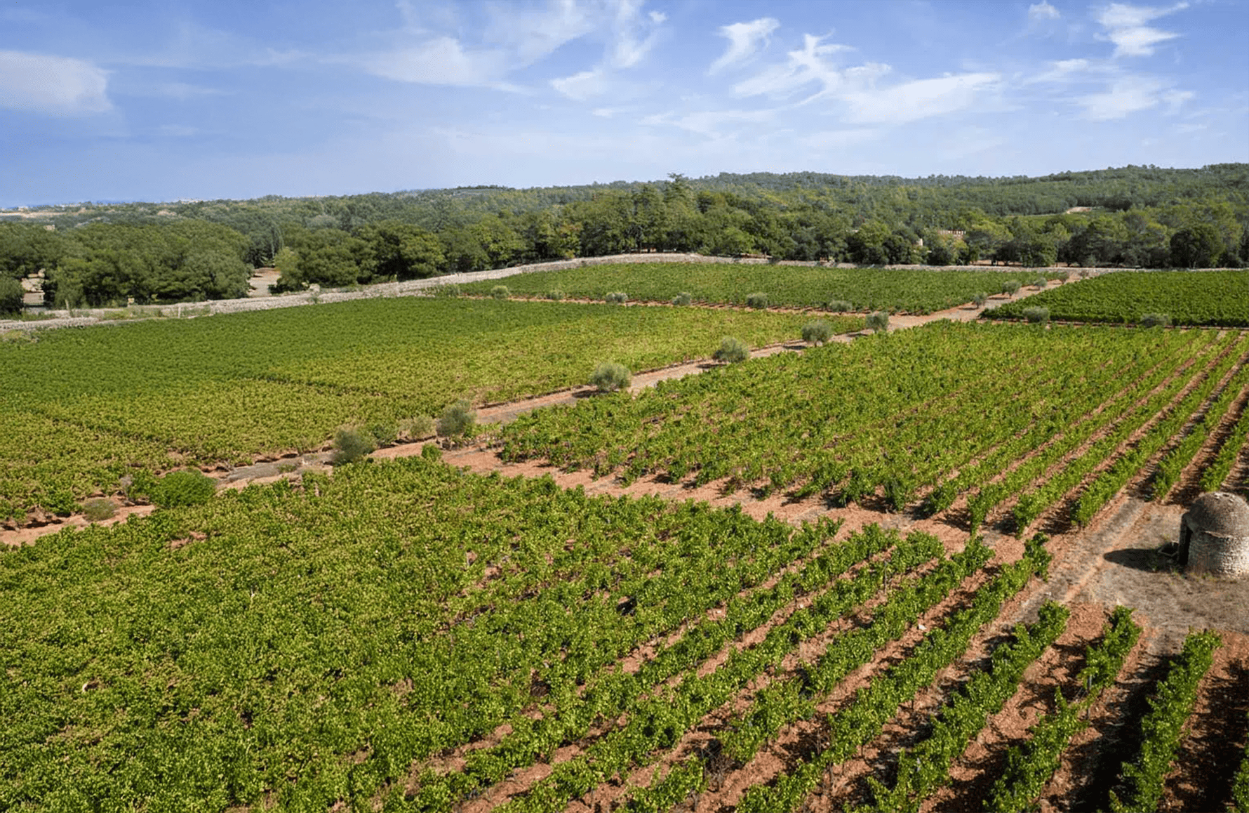 l’histoire du Château Peyrassol