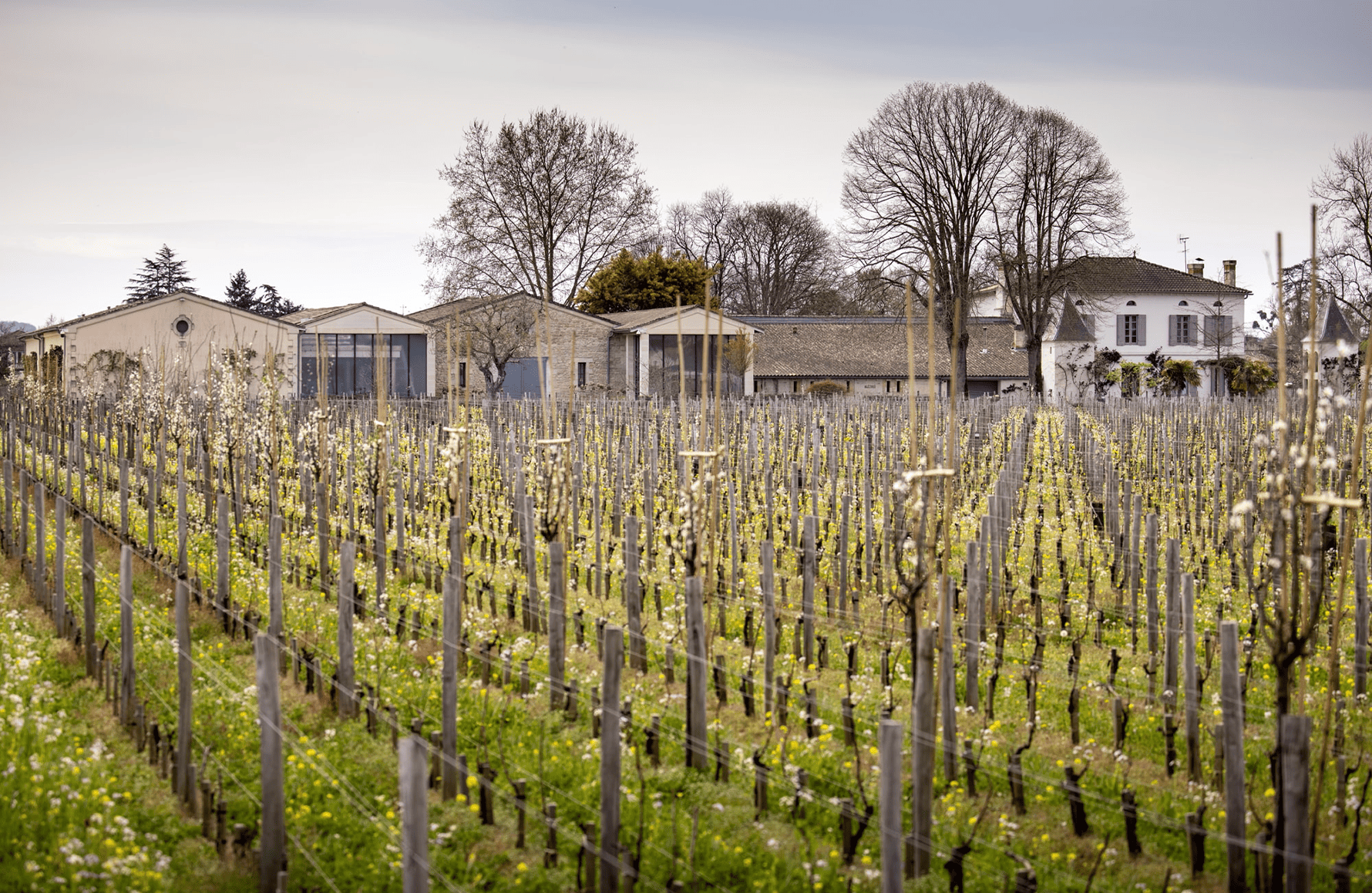 die Geschichte der Château Quinault L'Enclos