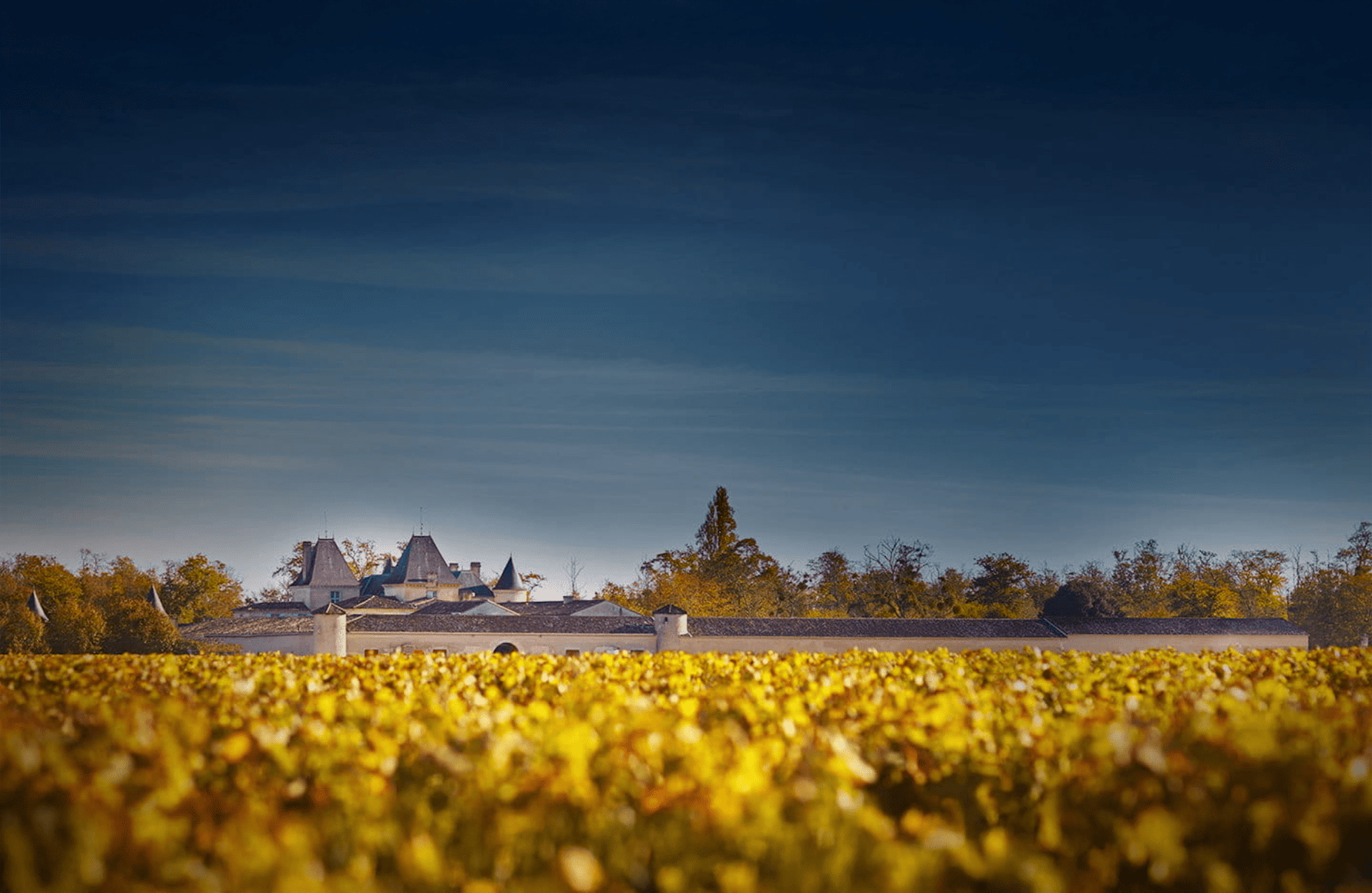 l’histoire du Château Suduiraut
