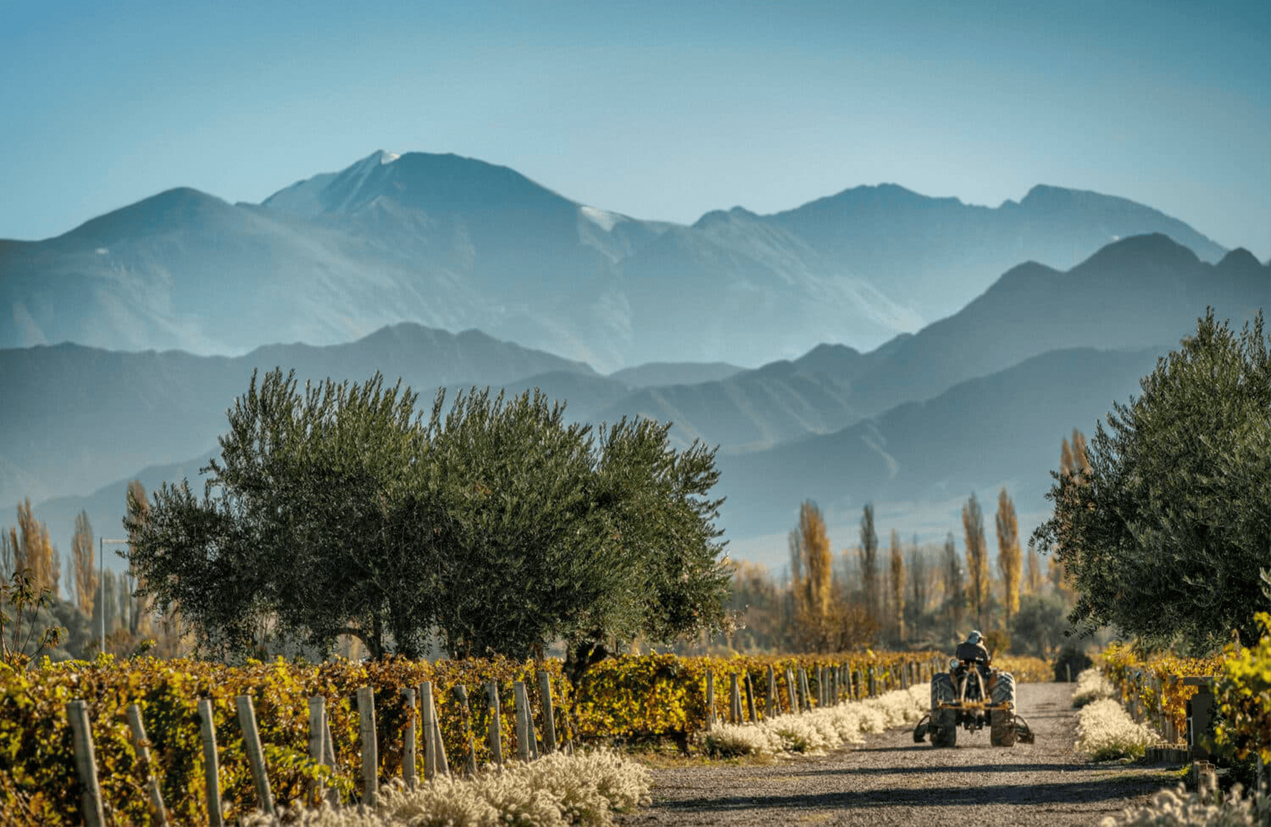 the story of Cheval des Andes - Argentinien