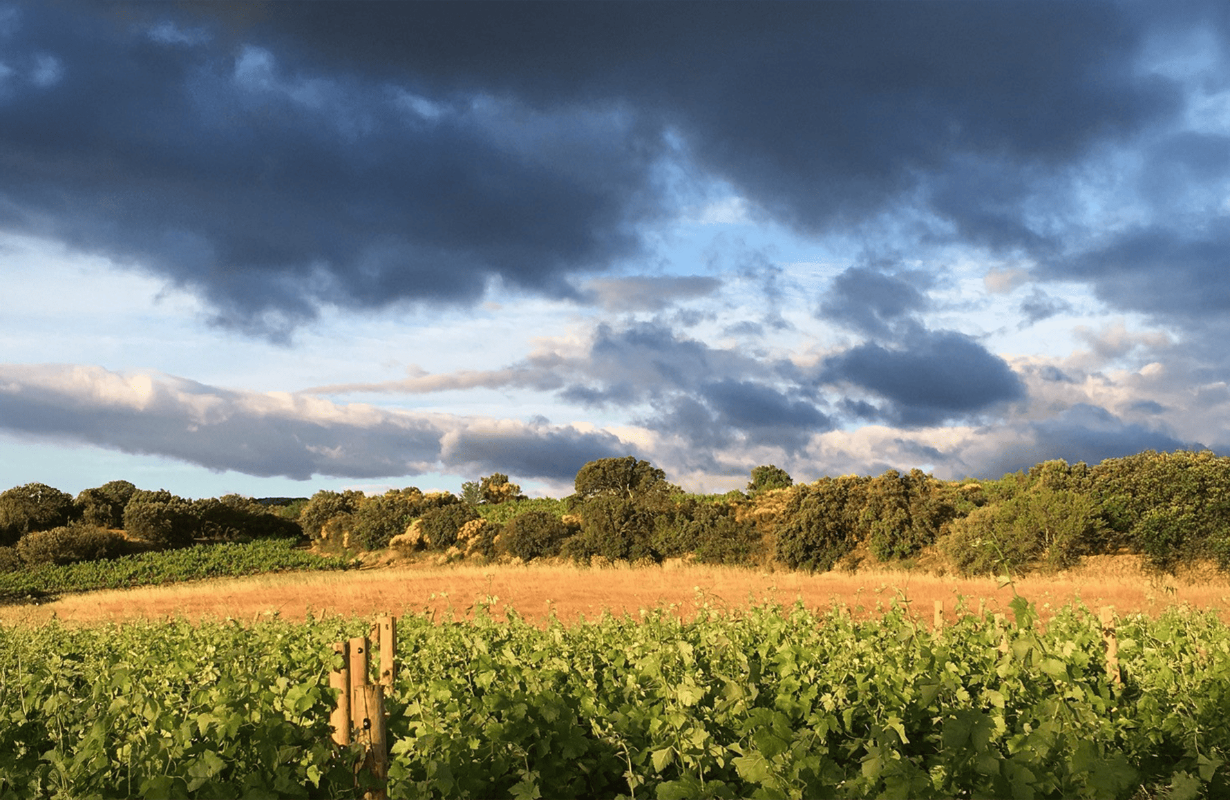 l’histoire du Domaine du Clos des Fées