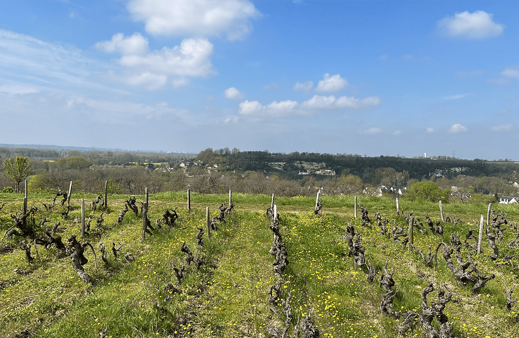 the story of Clos Thierrière
