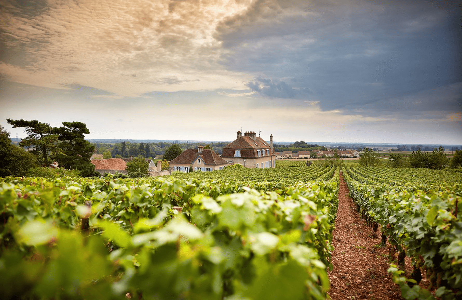 l’histoire du Domaine de l'Arlot