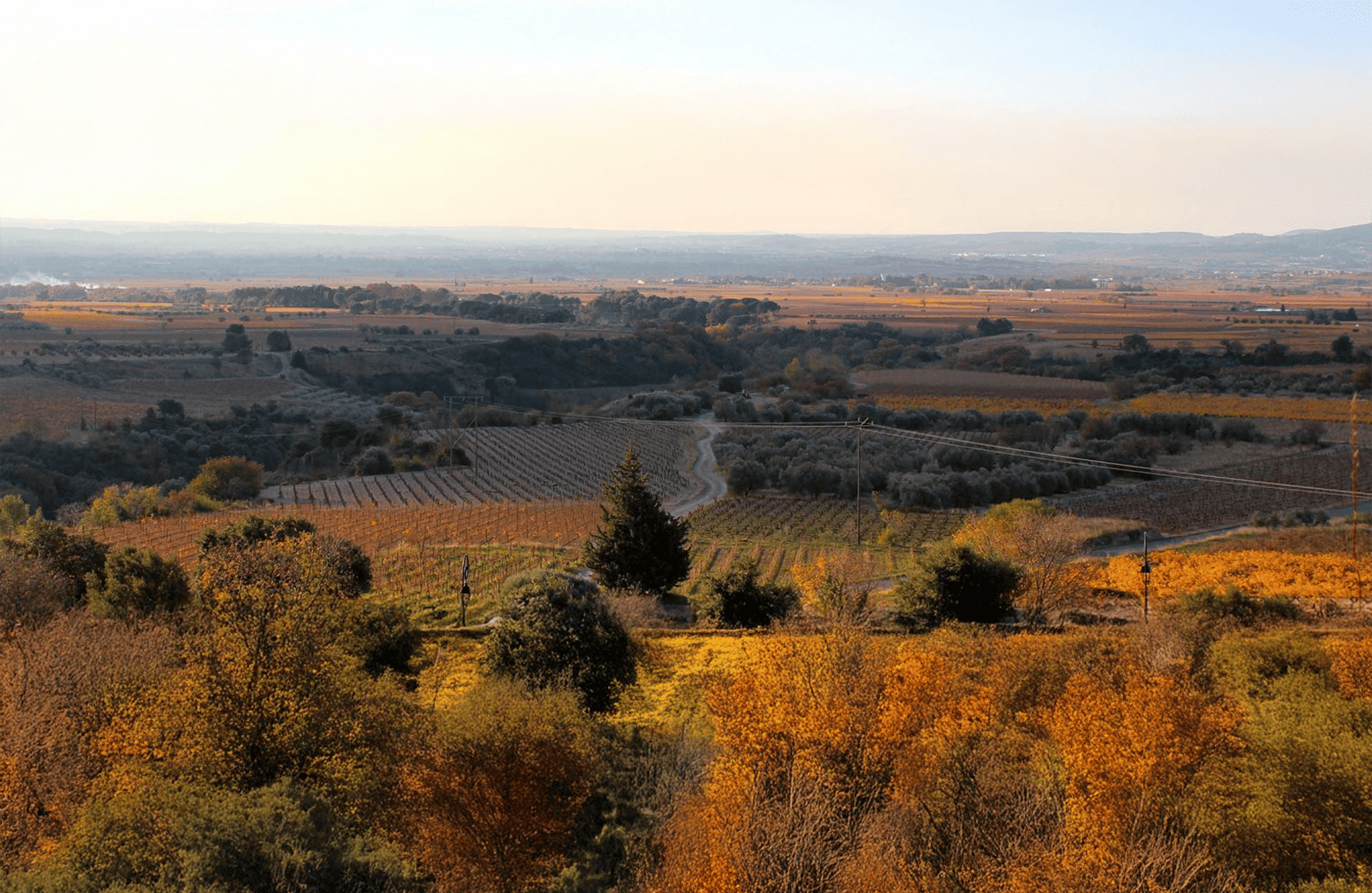 the story of O Reserve Estate
