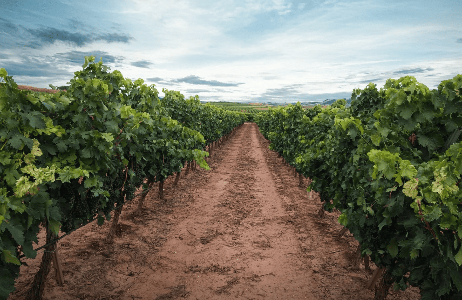 the story of Gallet Estate