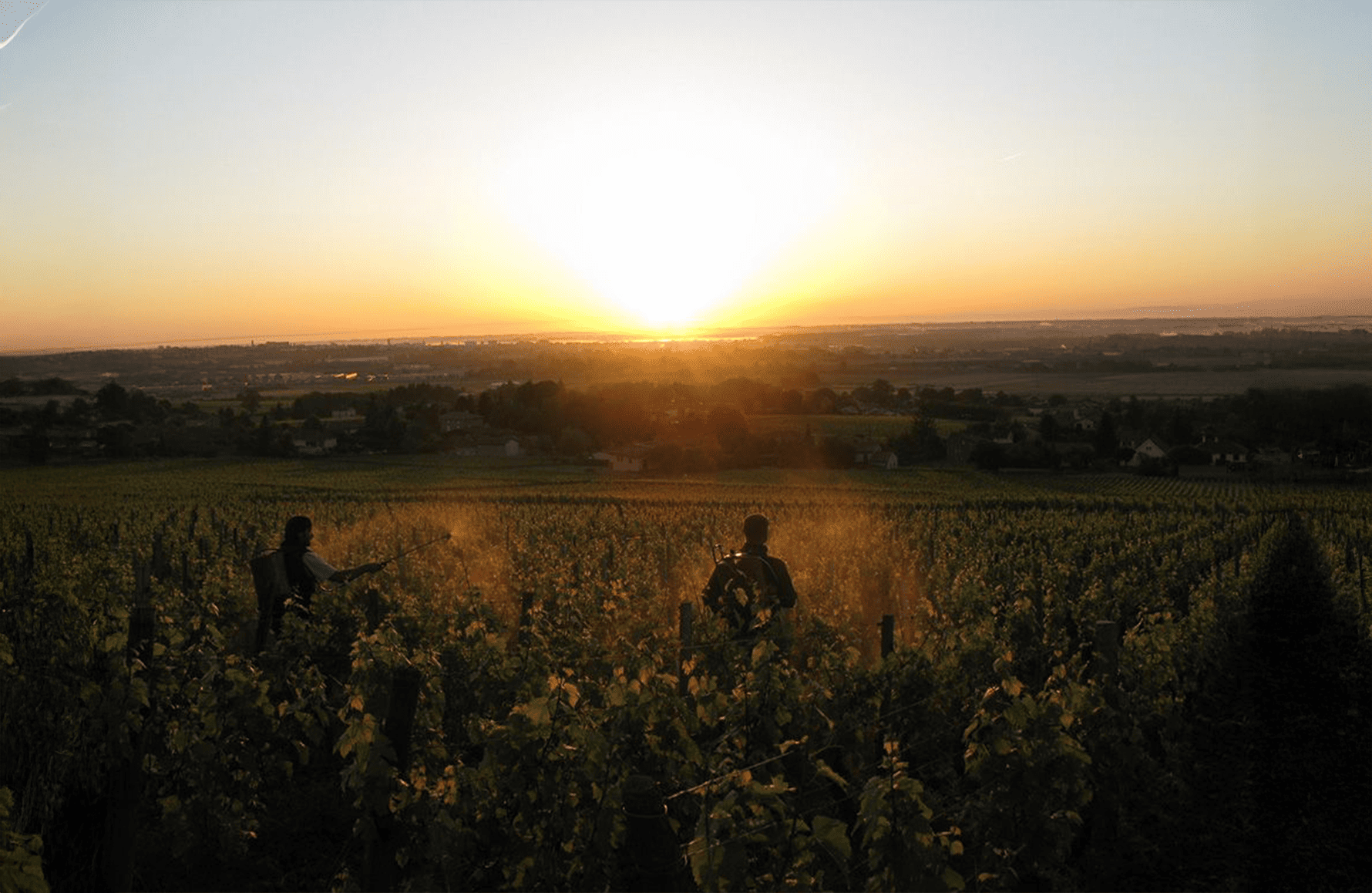 the story of Weingut La Soufrandière