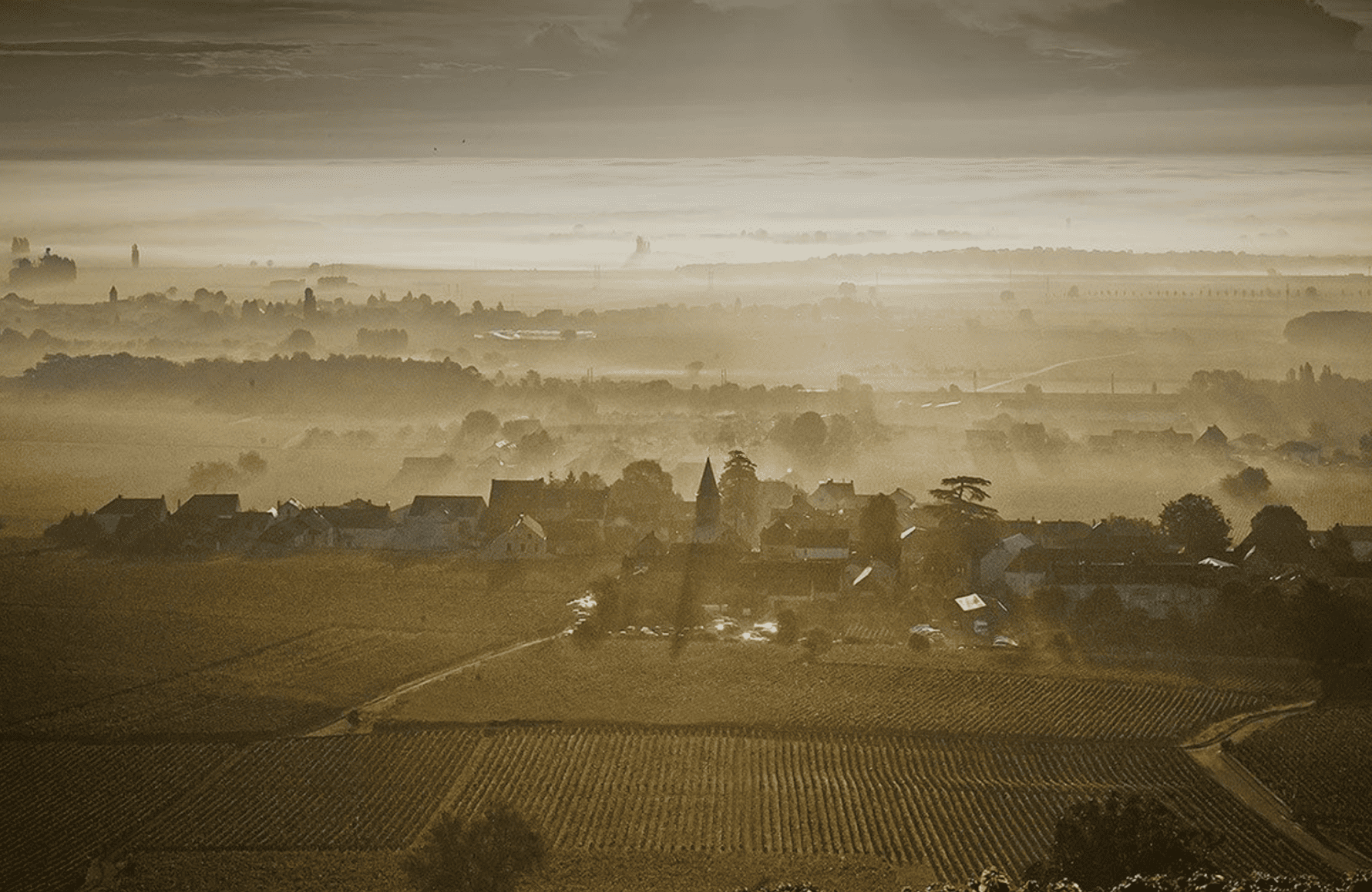 the story of Weingut Méo-Camuzet