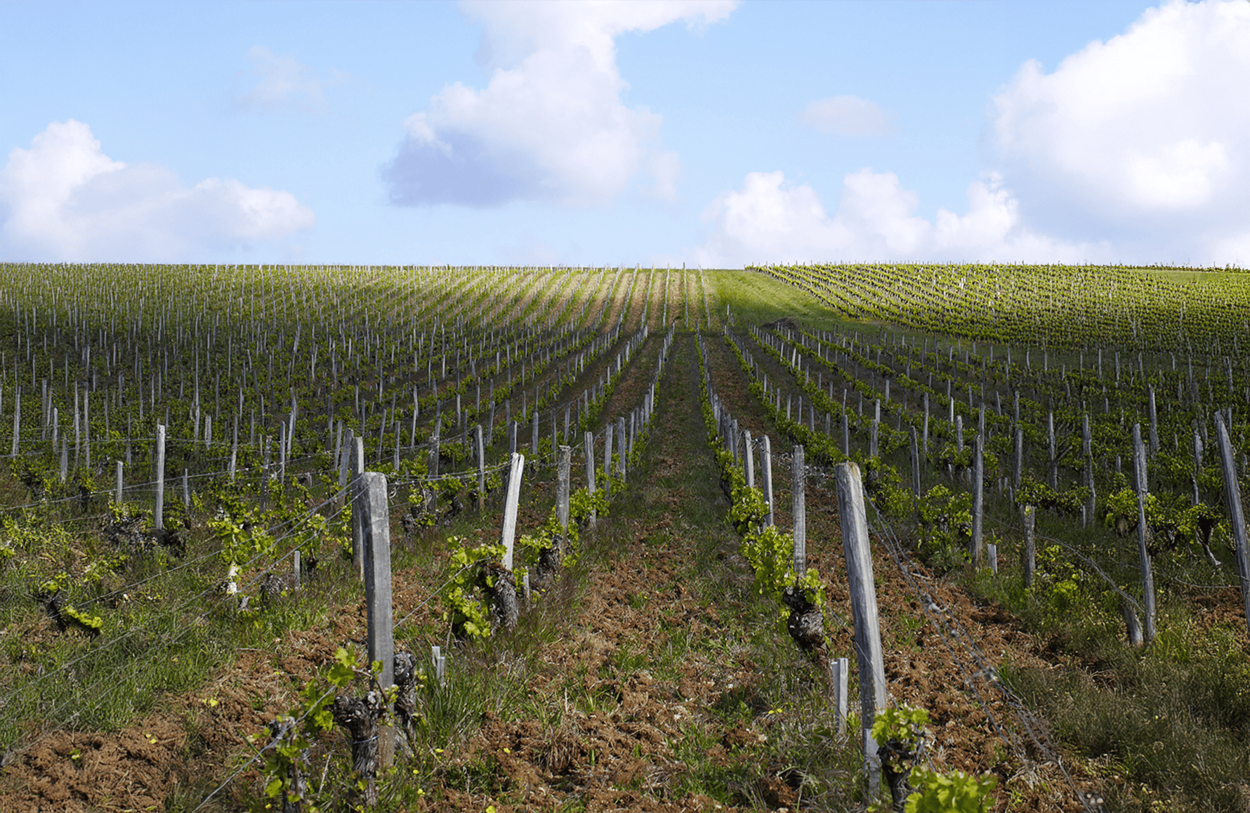 the story of Philippe Gilbert Estate