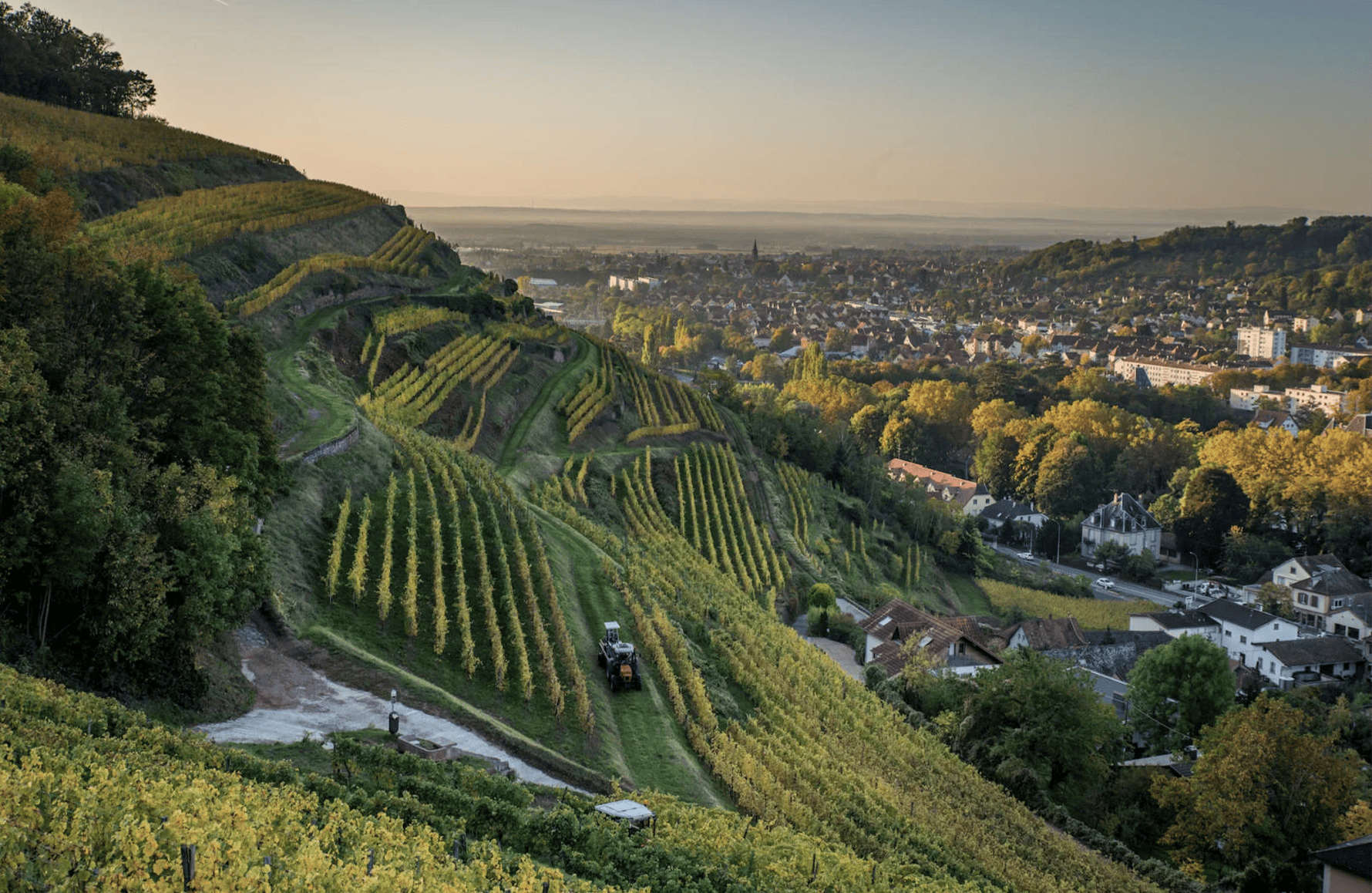 die Geschichte der Schlumberger Estate