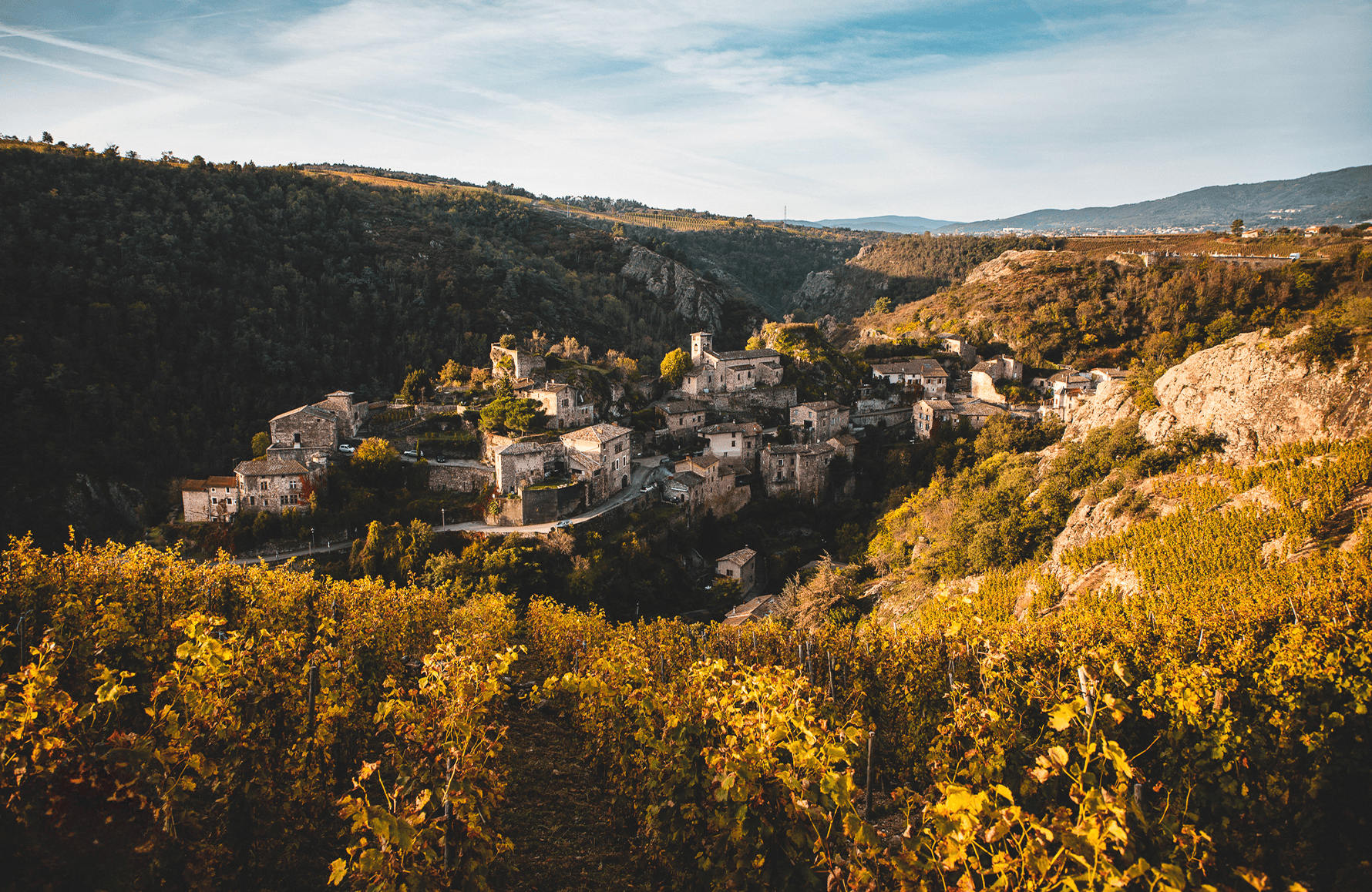 the story of Pierre Gaillard Estate