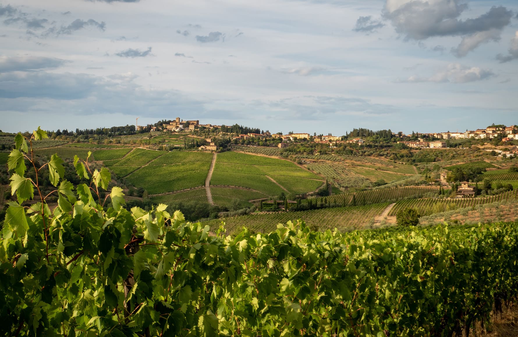die Geschichte der Bruno Giacosa - Italien