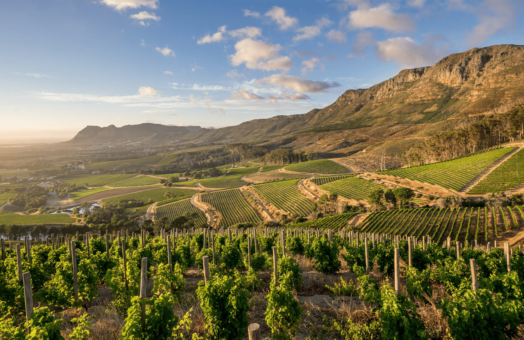 die Geschichte der Klein Constantia - Südafrika