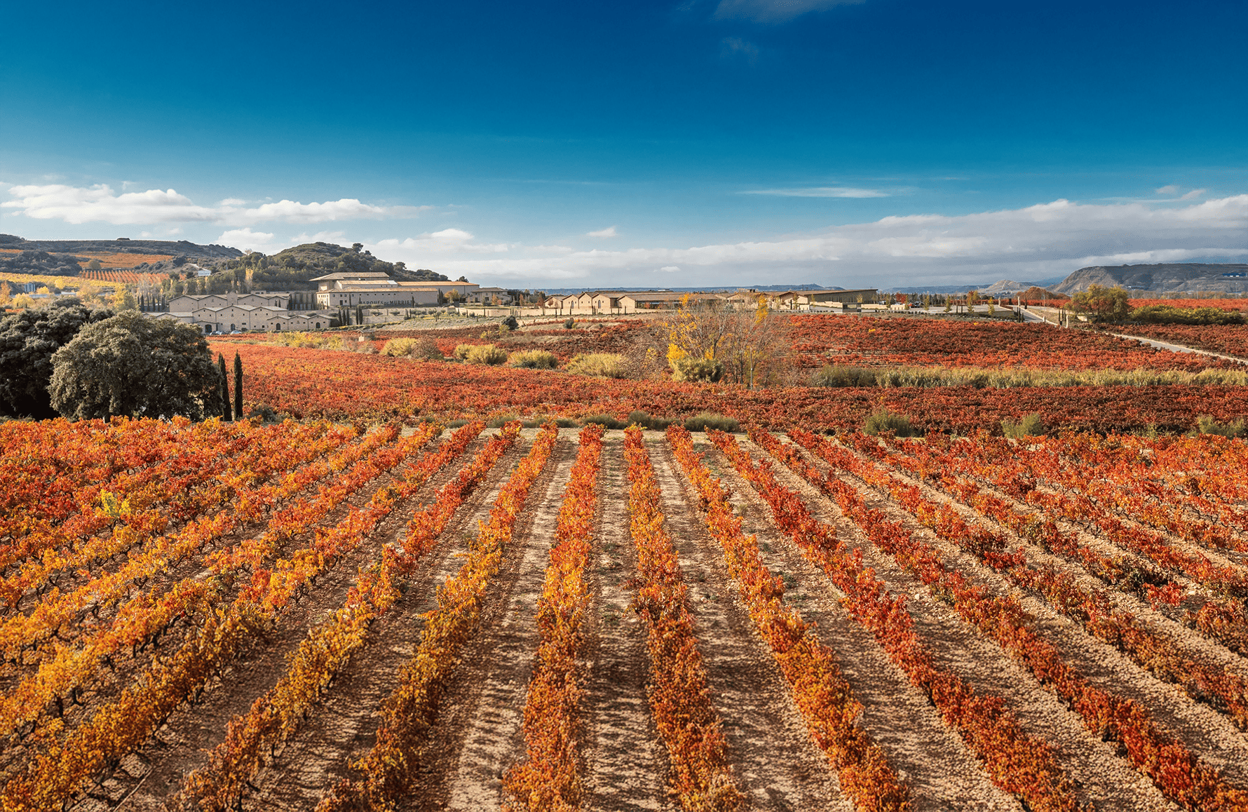 the story of Marques de Murrieta - Spain