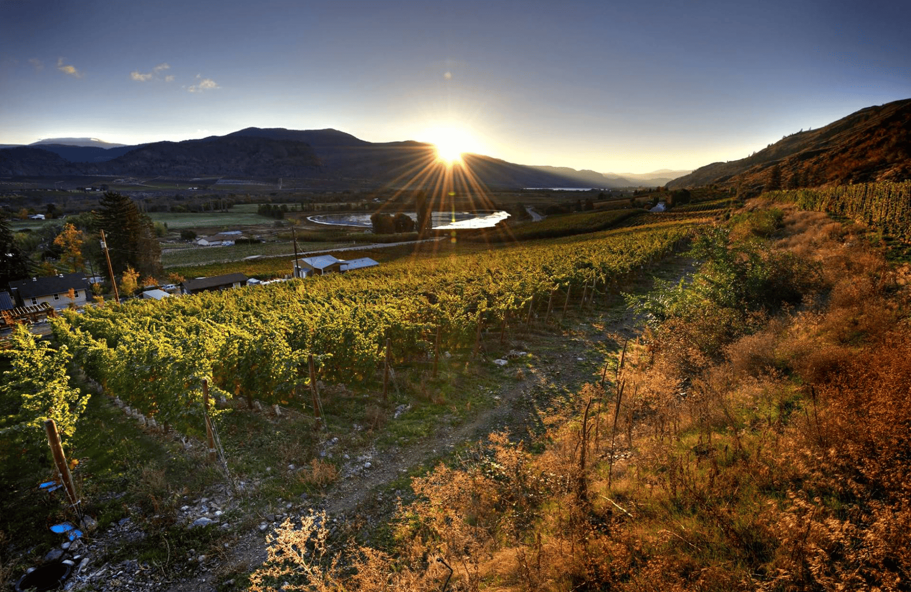 die Geschichte der Maverick Wines – Australien