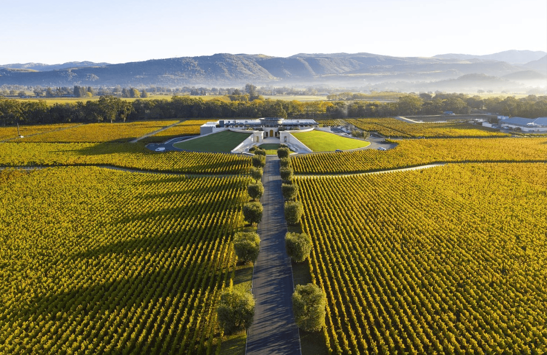 die Geschichte der Opus One - Vereinigte Staaten
