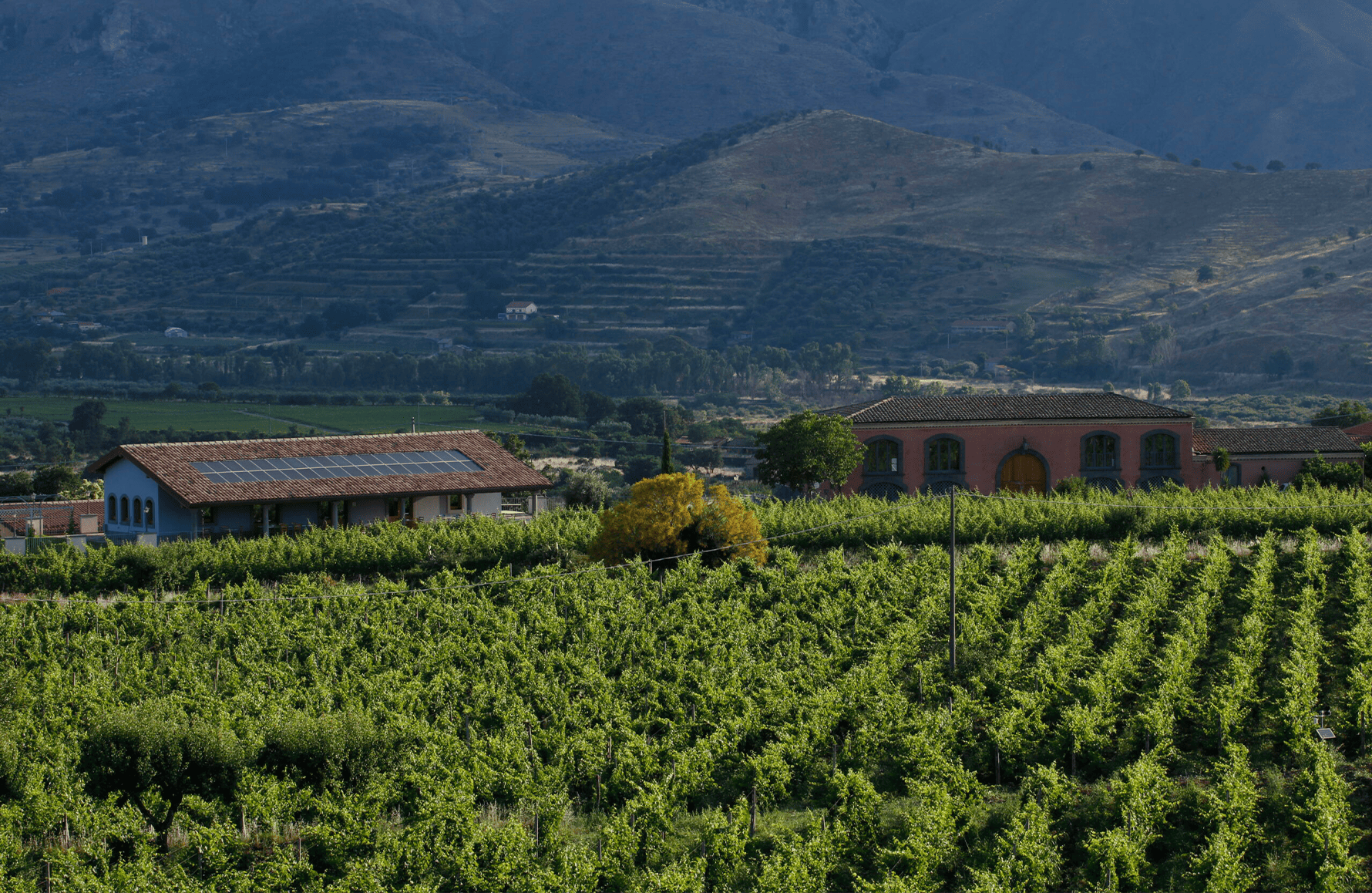 l’histoire du Tenuta Delle Terre Nere - Italie