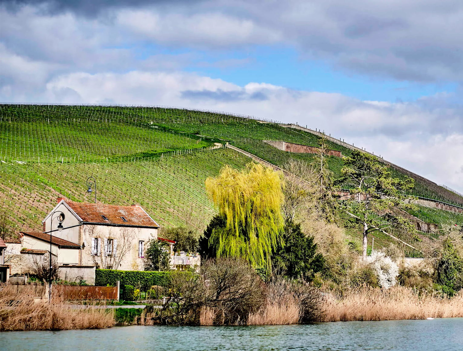 Clos des Goisses