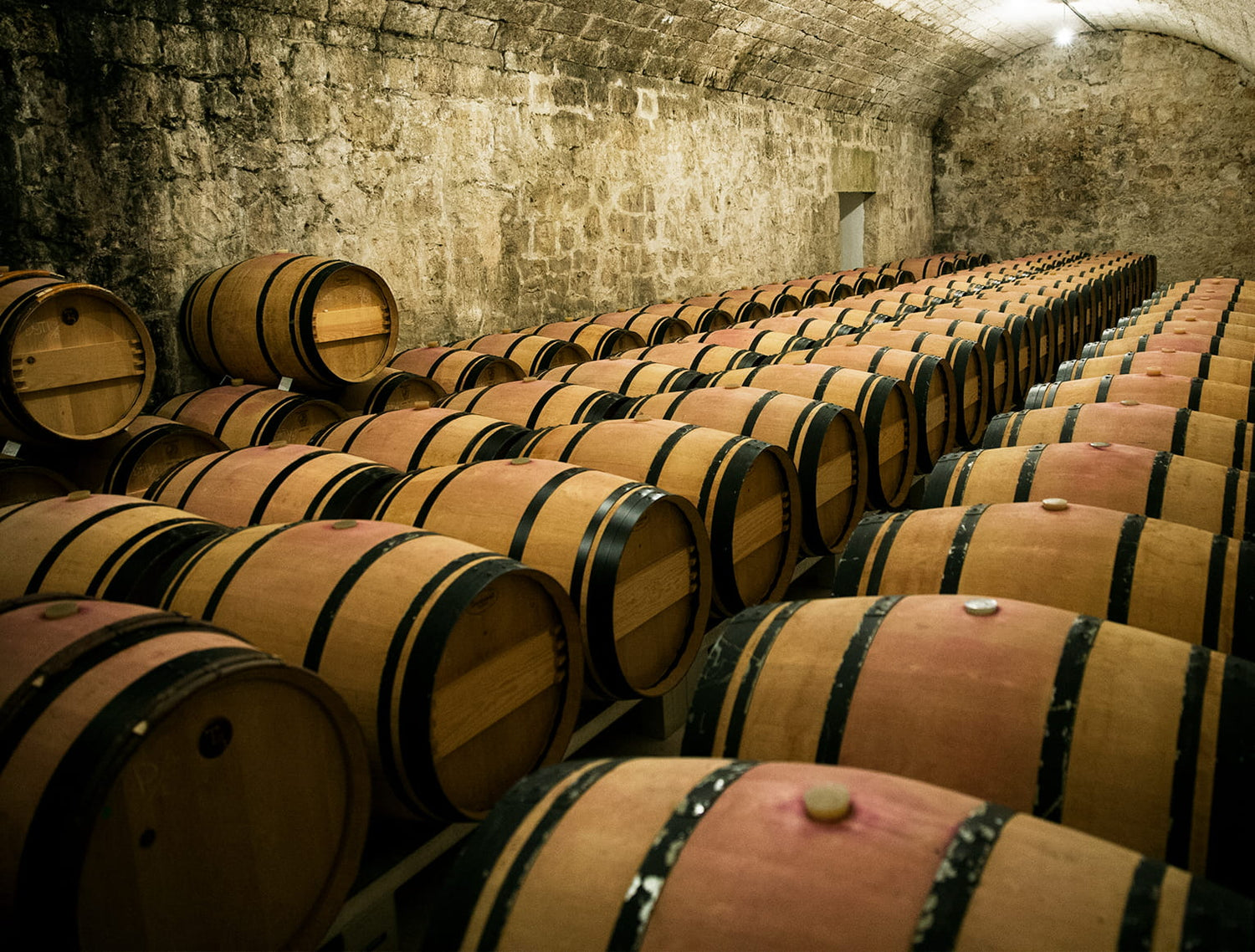 Tonneaux dans une cave à vin