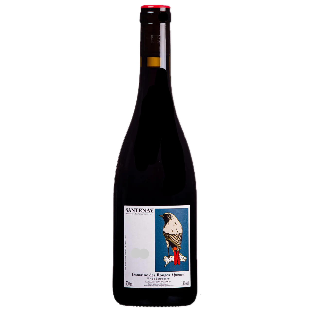 Domaine des Rouges Queues - Santenay Les Saunieres 2021